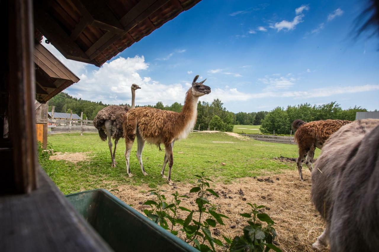 Resort Malevil Jablonné v Podještědí Eksteriør bilde
